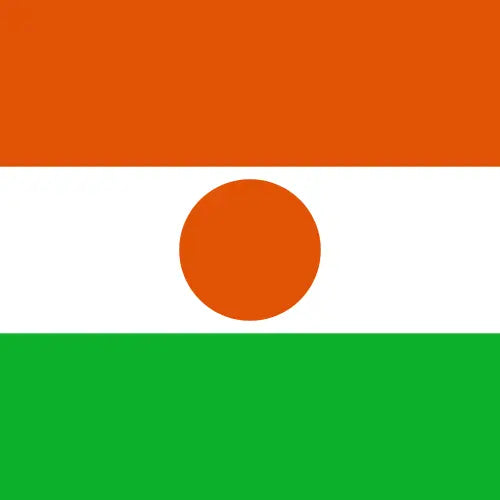 Niger unlimited daily eSIM