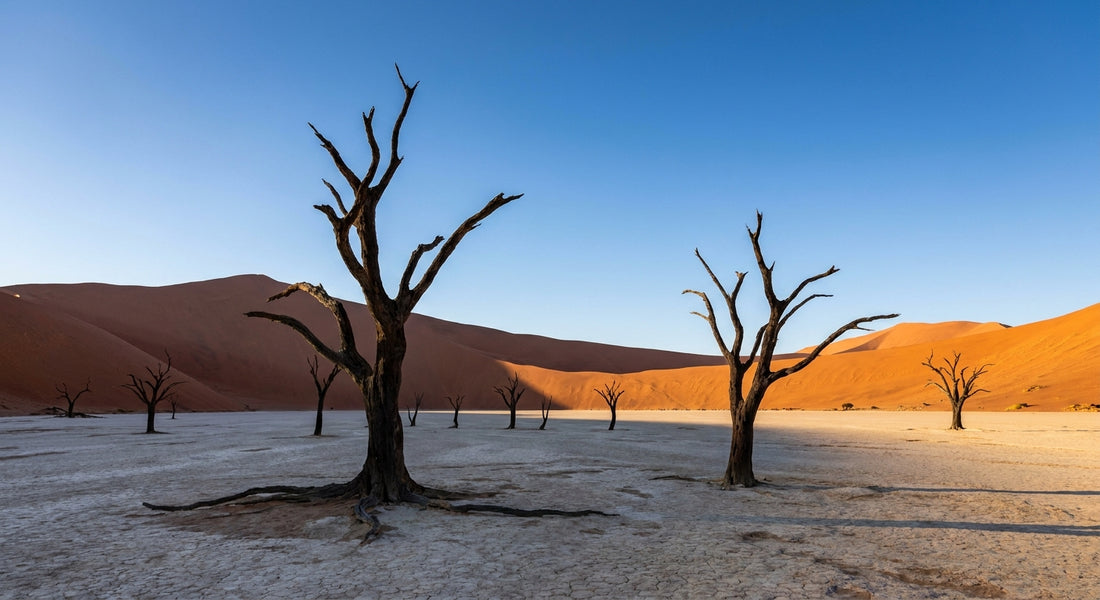 eSim for Namibia