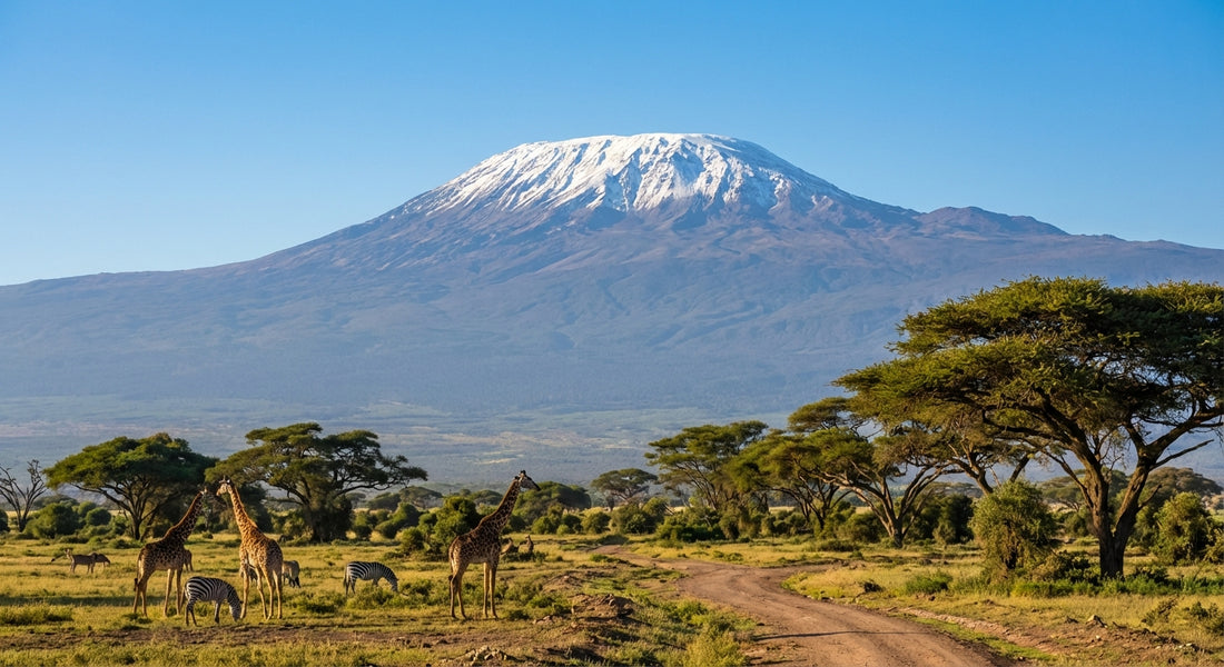 eSim for Tanzania, United Republic of