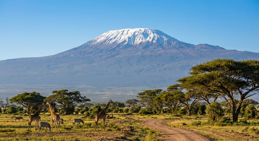 eSim for Tanzania, United Republic of