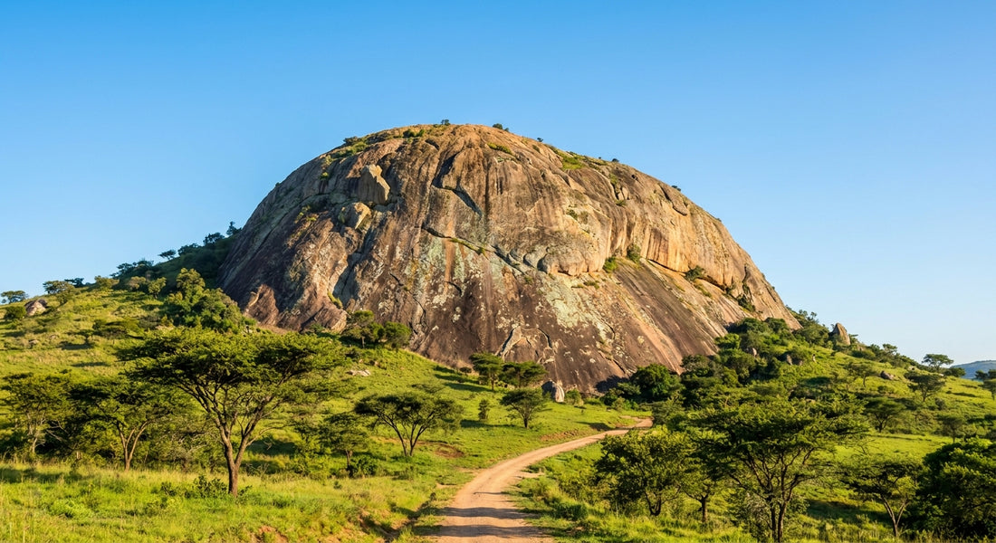 eSim for Swaziland