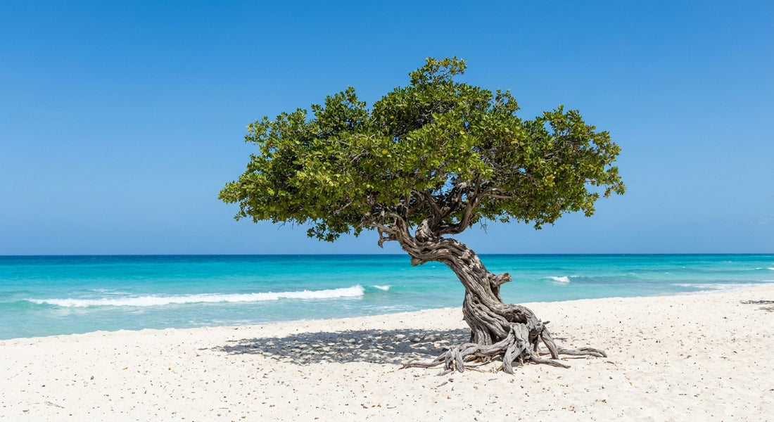 eSim for Aruba