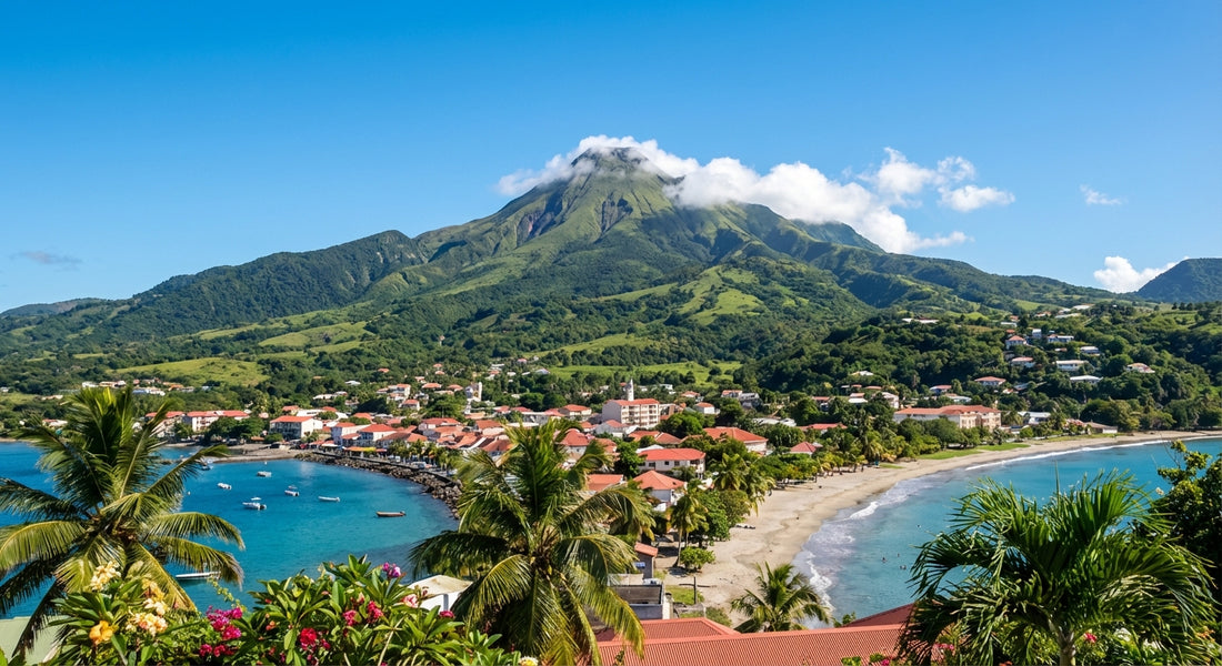 eSim for Martinique