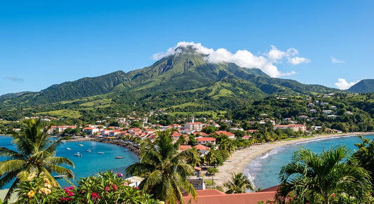 eSim for Martinique